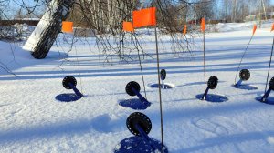 РЫБА ЕСТЬ! Жерлицы на реке