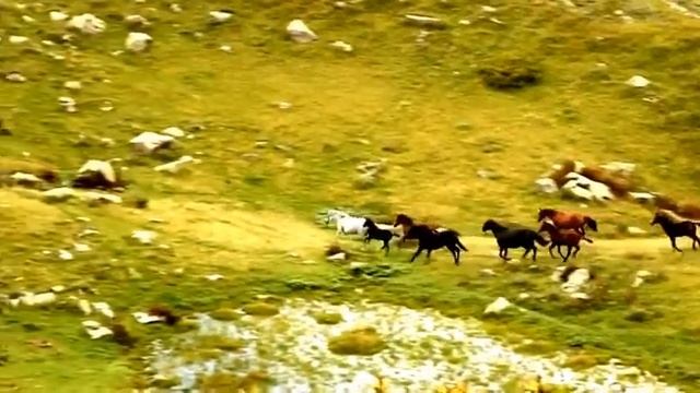Mountains of Abkhazia смотреть онлайн