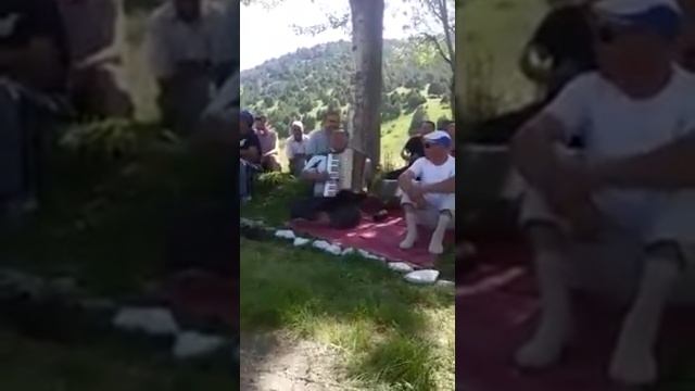 Анаконда жатат жанында смотреть онлайн