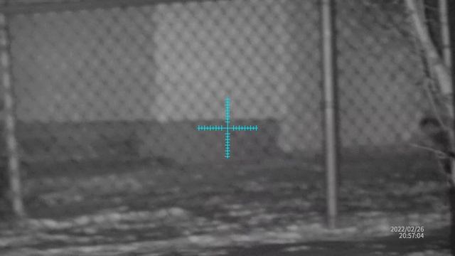 Sightmark Wraith 4K Max 3-24x50 Digital Riflescope with IR Night Vision testing смотреть онлайн