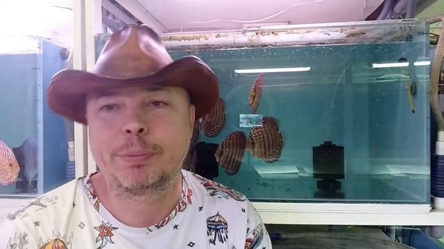 Настоящим аквариумистам посвящается . смотреть онлайн