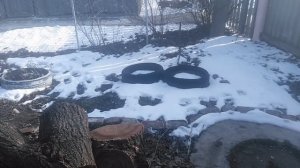 Сад огород зима