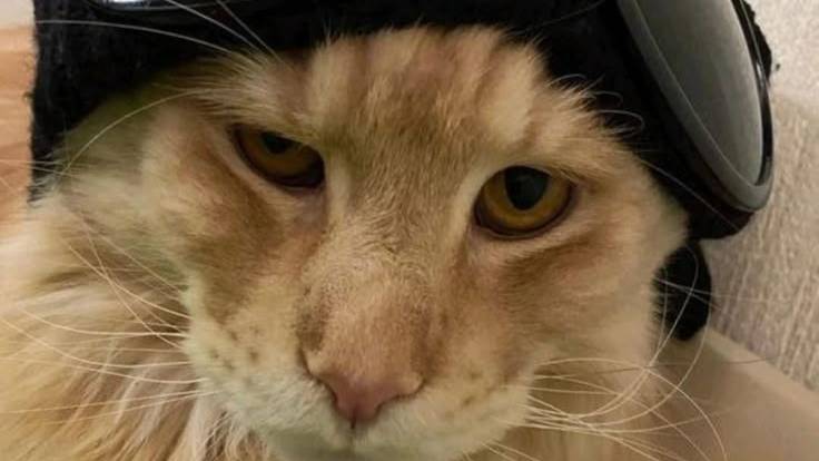 4𝖾𝗍𝗏𝖾𝗋𝗀 4𝗍𝗈𝗀𝗈 𝗆𝖺𝗅4𝗂𝗄𝖺 (𝗋𝖺𝖽𝗆𝗂𝗋)