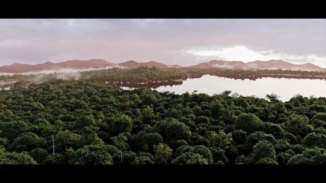 Forest Short Animation - Blender смотреть онлайн