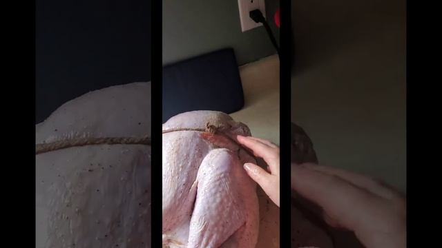 Turkey For Thanksgiving, Індичка на день подяки