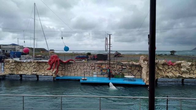 танец белухи смотреть онлайн