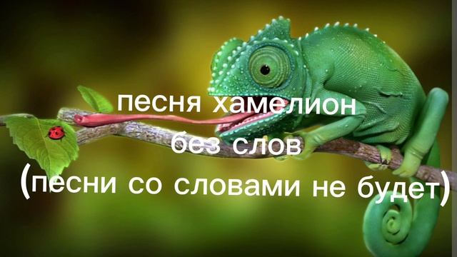 фонк хамелеон #синий #скр #ПЕСНЯ #хамелеон #фонк смотреть онлайн