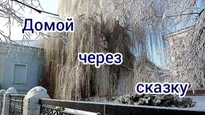 Зимнее волшебство