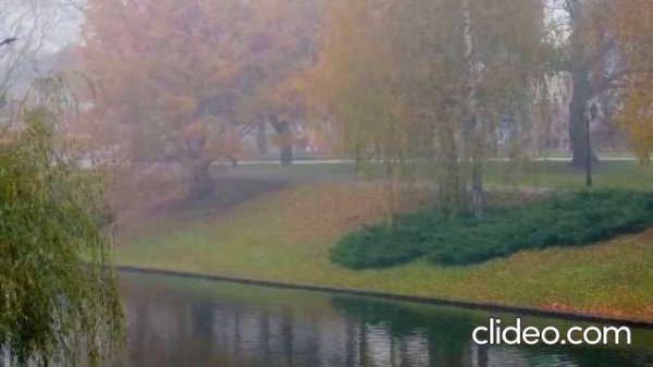 Ноктюрн (Рижский Ноктюрн)