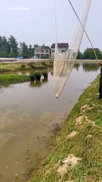 Catching eagle claws in the abandoned lobster pond at a relative’s house #country breath #TikTokhel смотреть онлайн