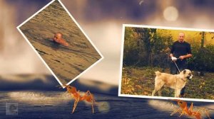 Слайд шоу в After Effects. Семейное счастье.