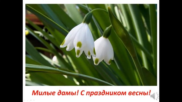 Праздник 8 марта