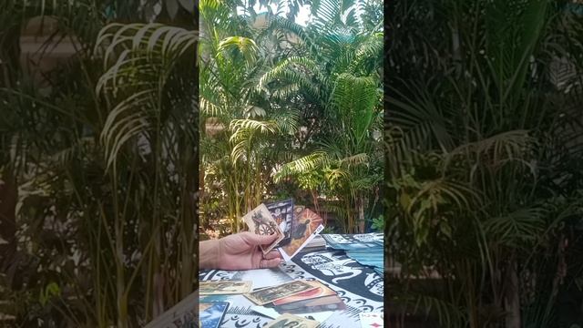 как видят тебя высшие силы ⁉️🔱 смотреть онлайн