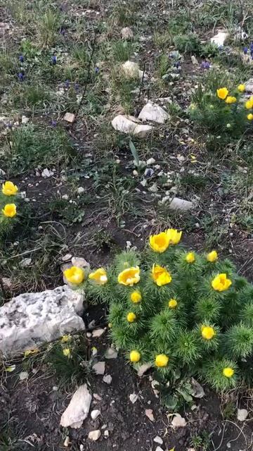 На ЕДиНе! С ПриРодой смотреть онлайн