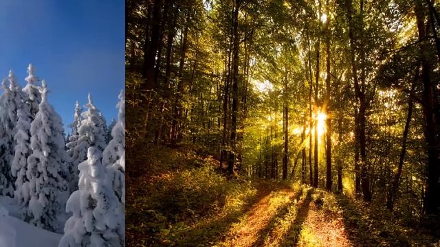 best4you| Huma Huma - Hydra |best4you смотреть онлайн