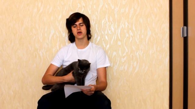 Enjoykin — Зато я спас кота (feat. Ник Черников) (cover) By Alex Popov