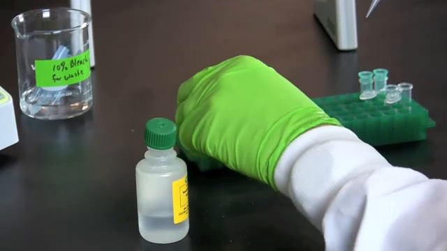 How To Perform a Plasmid Miniprep смотреть онлайн