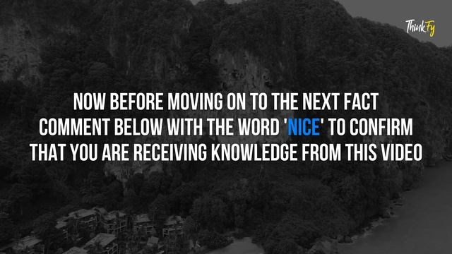 Shocking Psychology Facts About Human Behavior You Never Knew! #92 смотреть онлайн