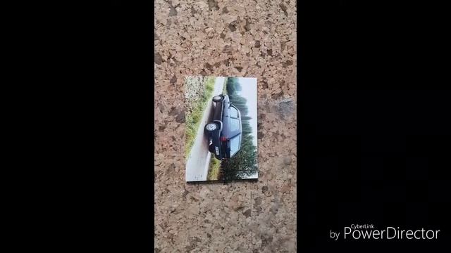 Panda 1000 C.L. смотреть онлайн