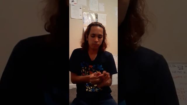 MegaMan Zero/ZX Legacy Collection Unboxing (Ps4)