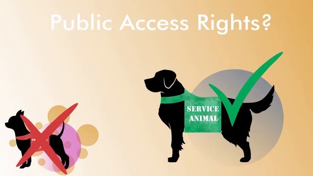 Ignoring The Signs: Service Dogs Only