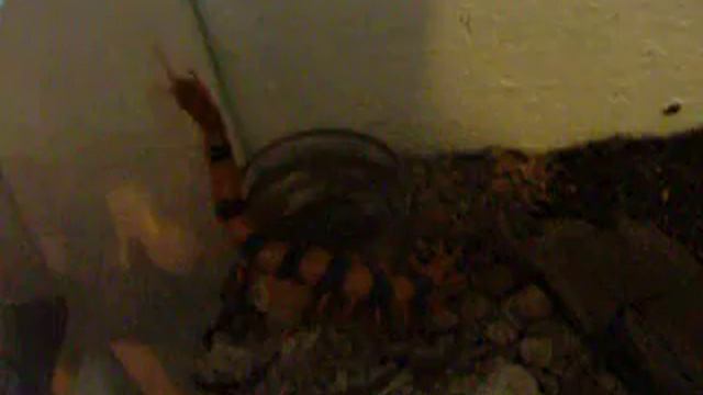 DSCF4261.AVI смотреть онлайн