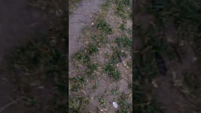Як ми робили фотки в instagram 2 часть смотреть онлайн