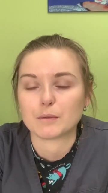 чем нельзя кормить домашних животных? смотреть онлайн