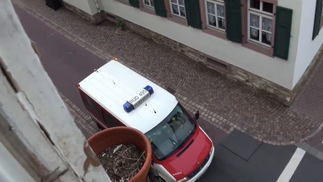 Alarmübung FF Eltville , Zimmerbrand - Einsatz für: ELW , HLF 16/12 , DLK 23/12 , TLF 20/40 смотреть онлайн