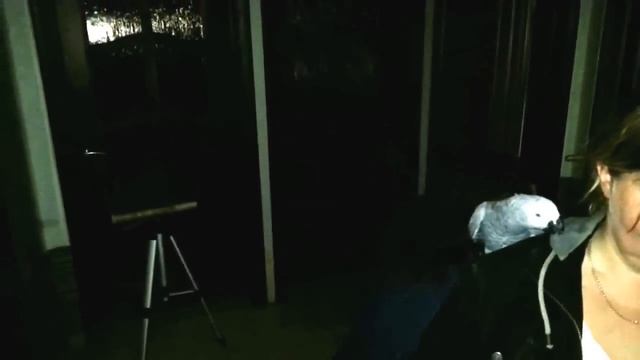 Приручение без мучения-3