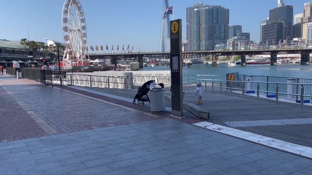 Sofitel Hotel Darling Harbour смотреть онлайн