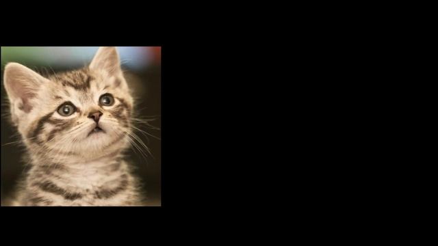Eat the Pills and you will be smart - Smart Pills Funny Jokes - Fresh jokes 2022 смотреть онлайн