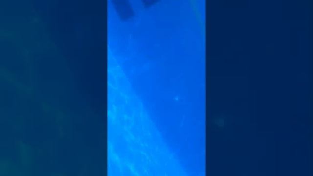 Dreams Sapphire Resort & Spa смотреть онлайн