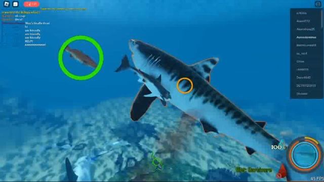 Megalodon Boss Fight