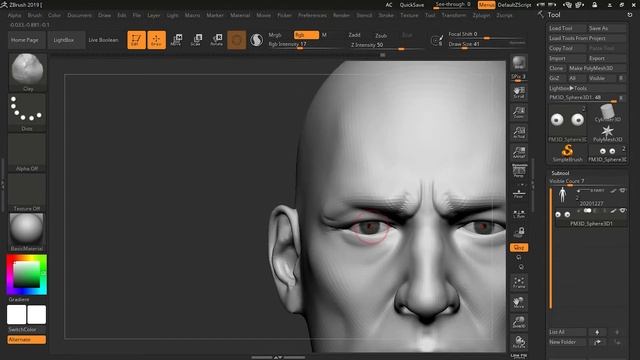 #014 ZBrush : Human Head Sculpting смотреть онлайн