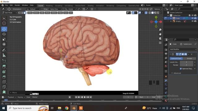 Modeling Brain in Blender (Part 1 of 2) смотреть онлайн