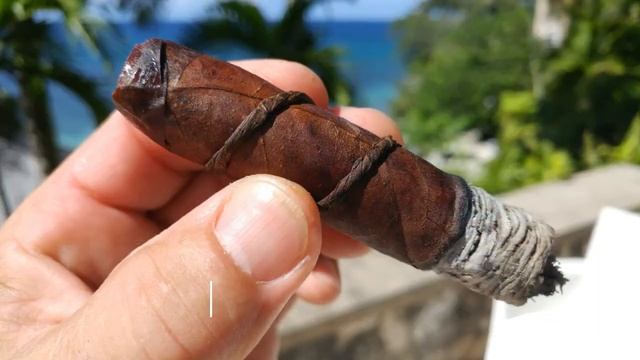 CAO Amazon Anaconda смотреть онлайн