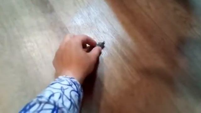 Просто майский жук... 05.06.17 смотреть онлайн