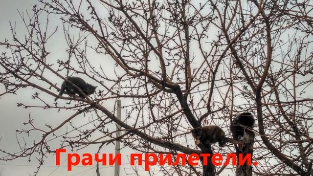 Караганда суровая и прикольная. 8 смотреть онлайн