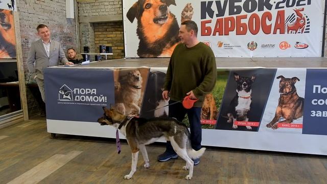 Кубок Барбоса 2021, Задворный Иван и Вулкан смотреть онлайн