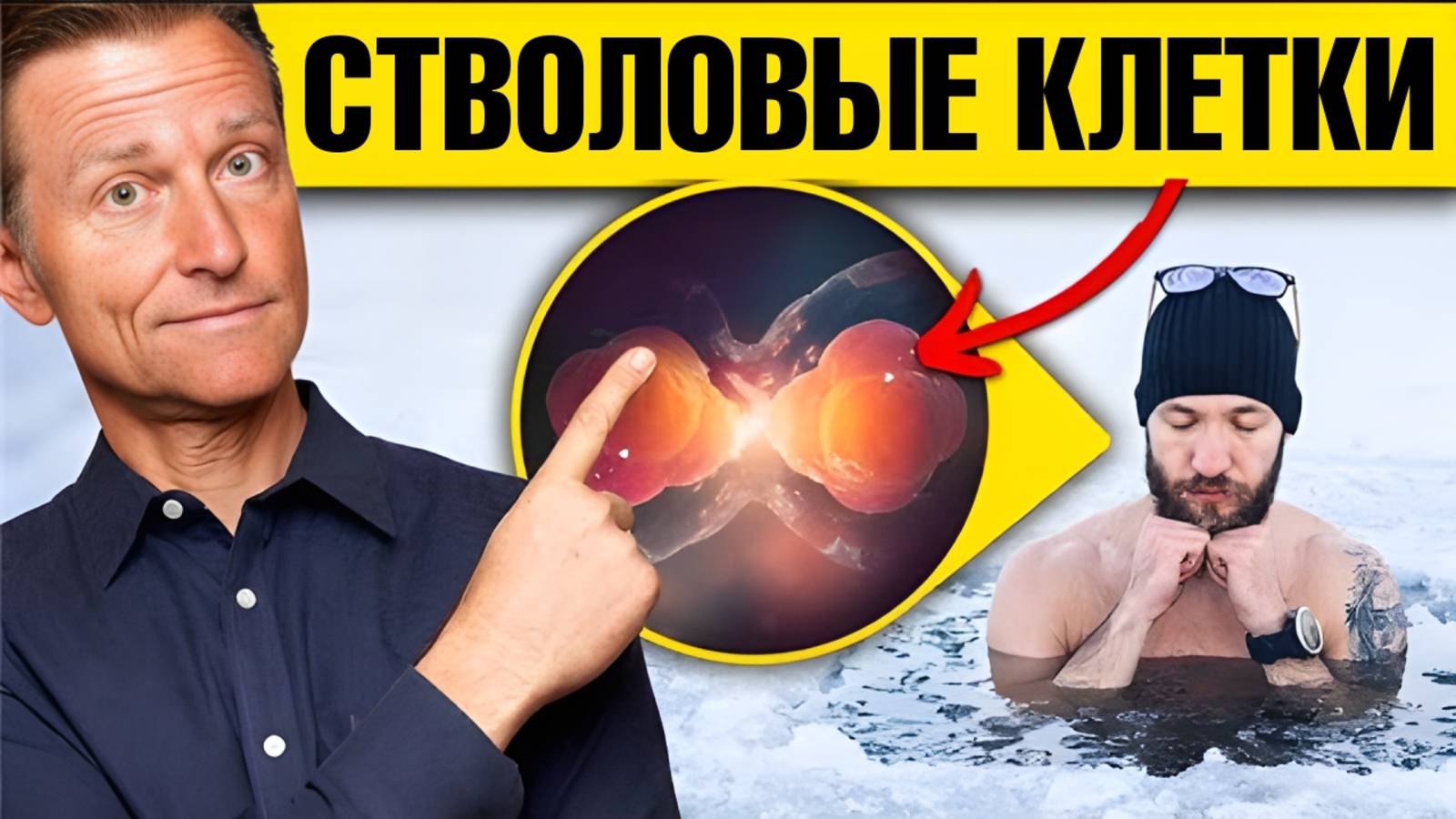 7 способов стимуляции стволовых клеток без походов в клинику🔥 смотреть онлайн