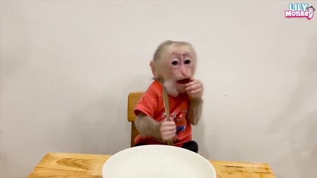 Smart monkey Lily cleans the house when dad is away смотреть онлайн