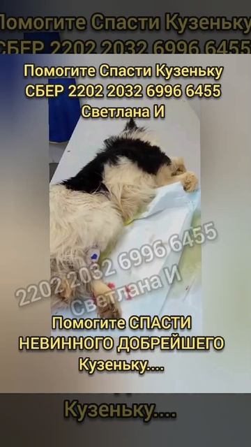 5 апреля 2024 г.