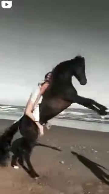 XXX videos belonging to смотреть онлайн