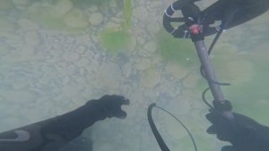 ПОДВОДНЫЙ ПОИСК с металлоискателем. Находок море