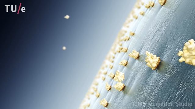 Antifreeze proteins: shaping ice crystal growth смотреть онлайн