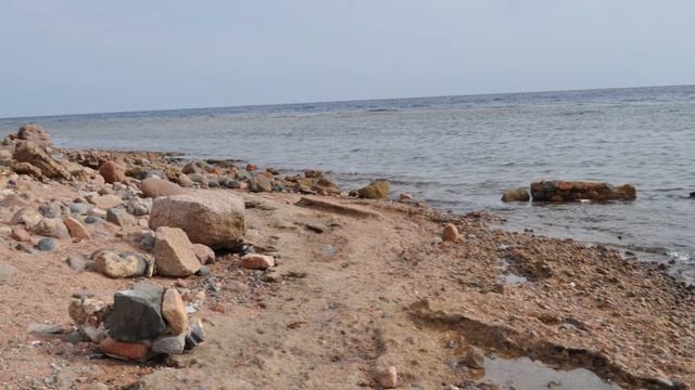 Egypt. Sinai. Dahab. 2010.wmv смотреть онлайн