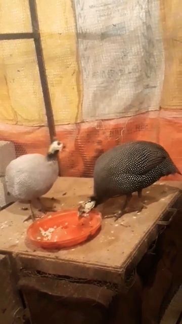 20 January 2023 смотреть онлайн