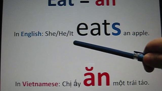 Self-studying Vietnamese Lesson 15 (1/2) Simple Present Tense