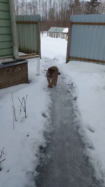 Догоняй меня!!! смотреть онлайн